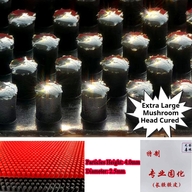 Ultra-large Particles Table Te - Table Tennis Head To Head 评论和价格